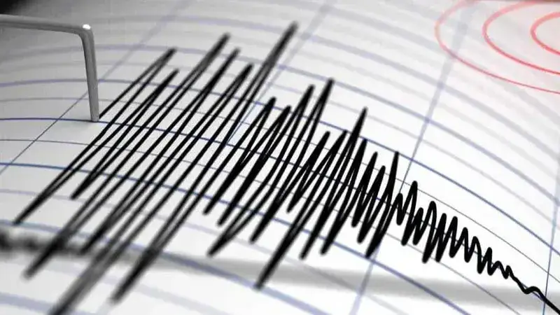Android phones turn into seismometers thanks to a new system from Google Android phones turn into seismometers thanks to a new system from Google